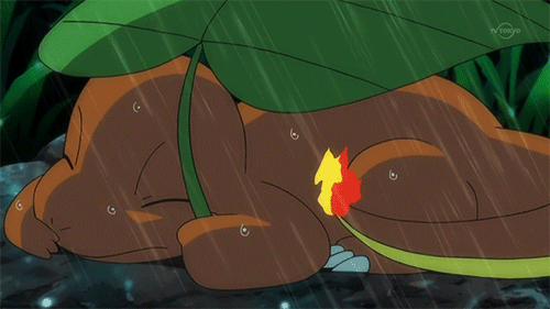 poor charmander in the rain
