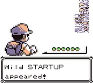 Wild startup appeared